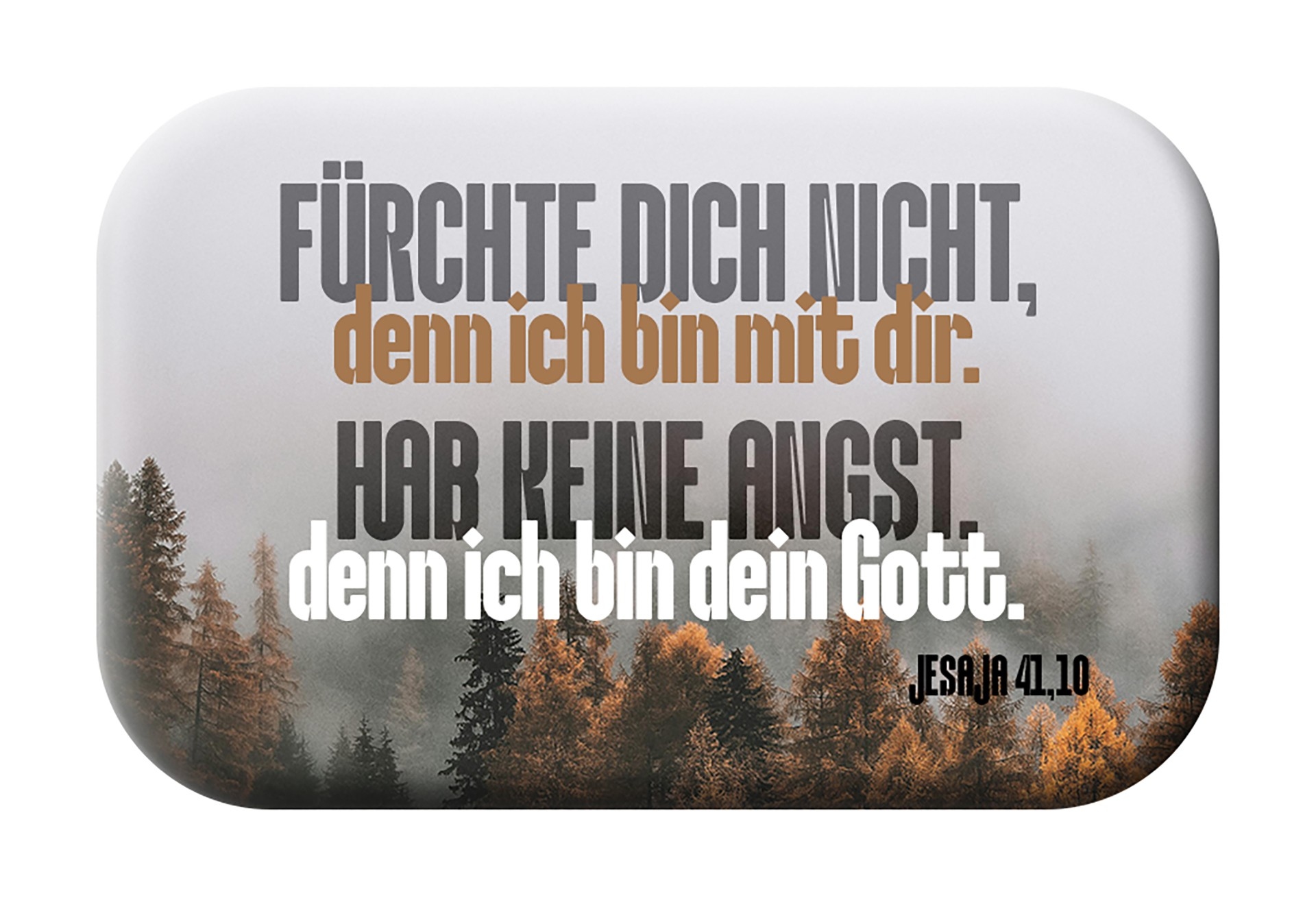 Jahreslosung 2027 - Magnet "Wald im Nebel"