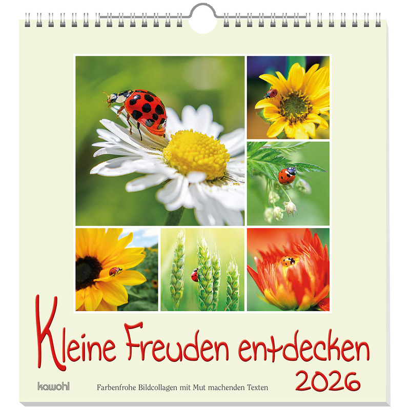 Kleine Freuden entdecken 2026 - Wandkalender