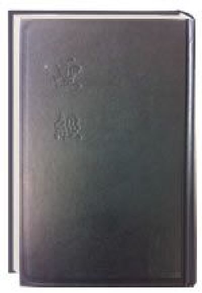Bibel chinesisch