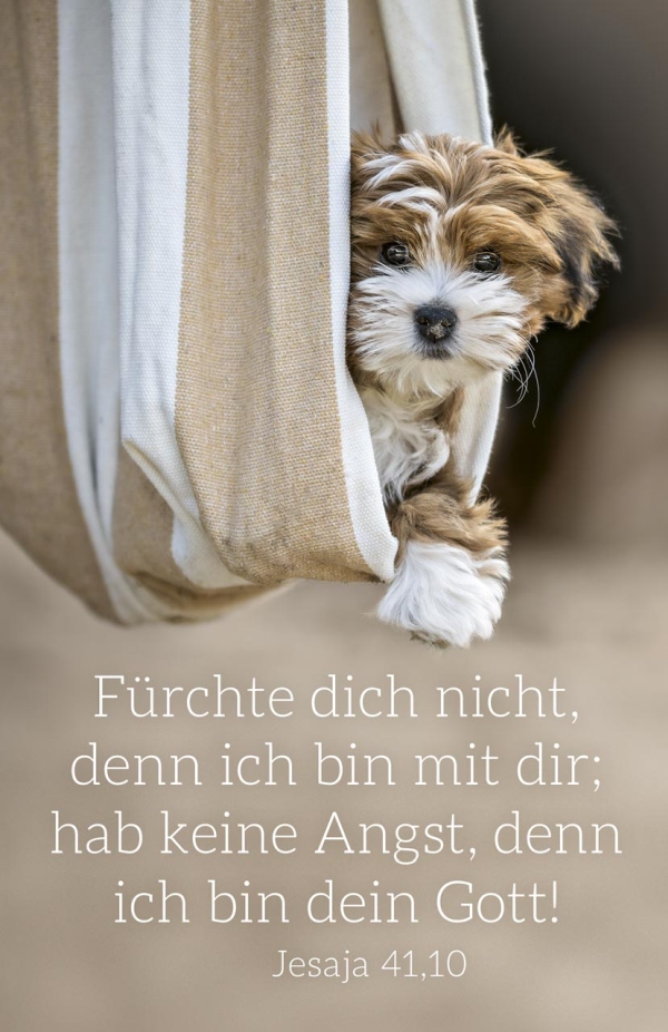Jahreslosung 2027 - Kalenderkärtchen "Hund"