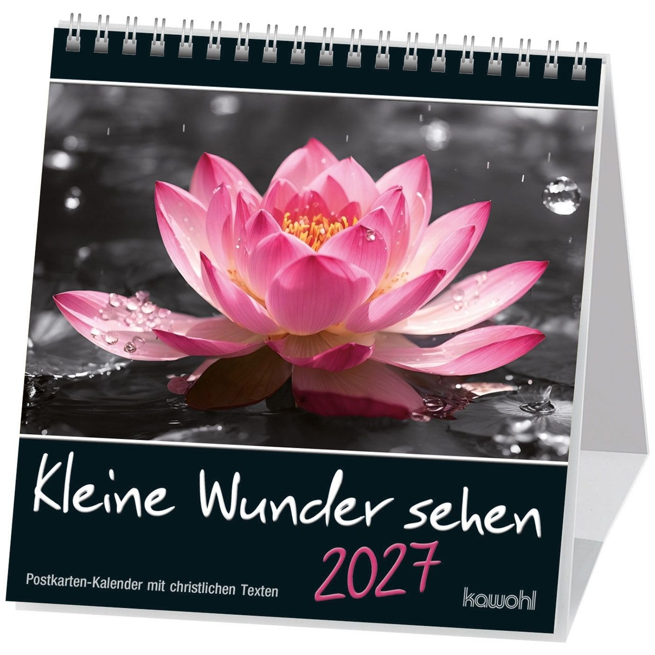 Kleine Wunder sehen 2027 - Postkartenkalender
