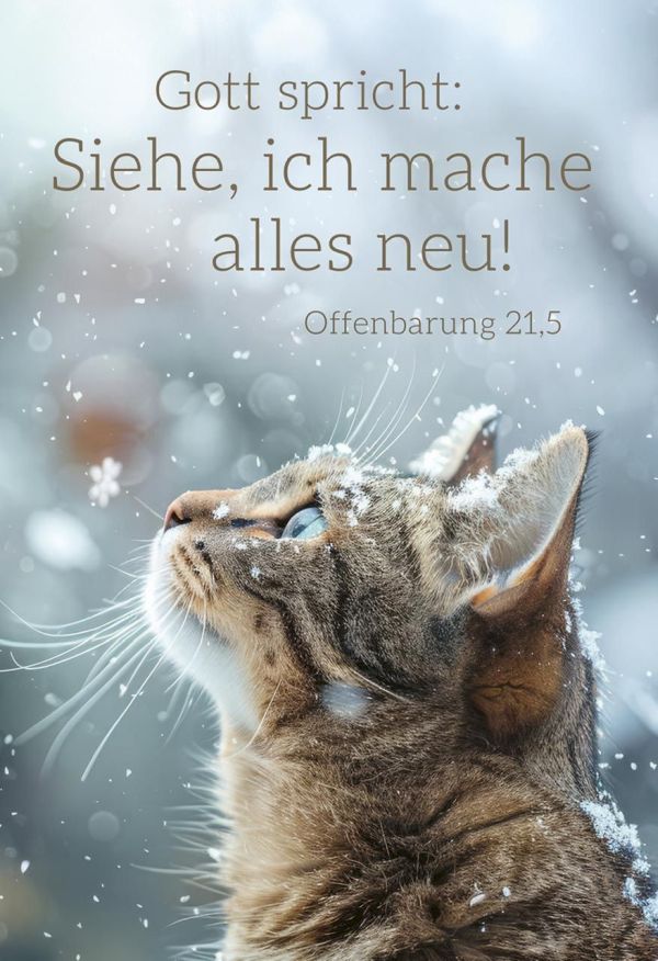 Jahreslosung 2026 - Poster A4 "Katze"