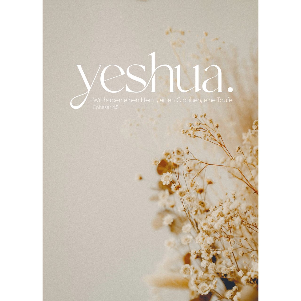 Postkarten: yeshua. 4 Stück