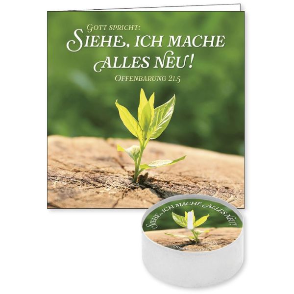 Jahreslosung 2026 - Lichtgruß