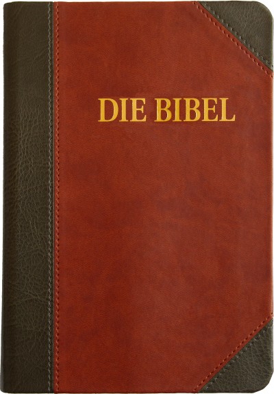 Schlachter 2000 - Großdruckausgabe, grau/braun, flexibel