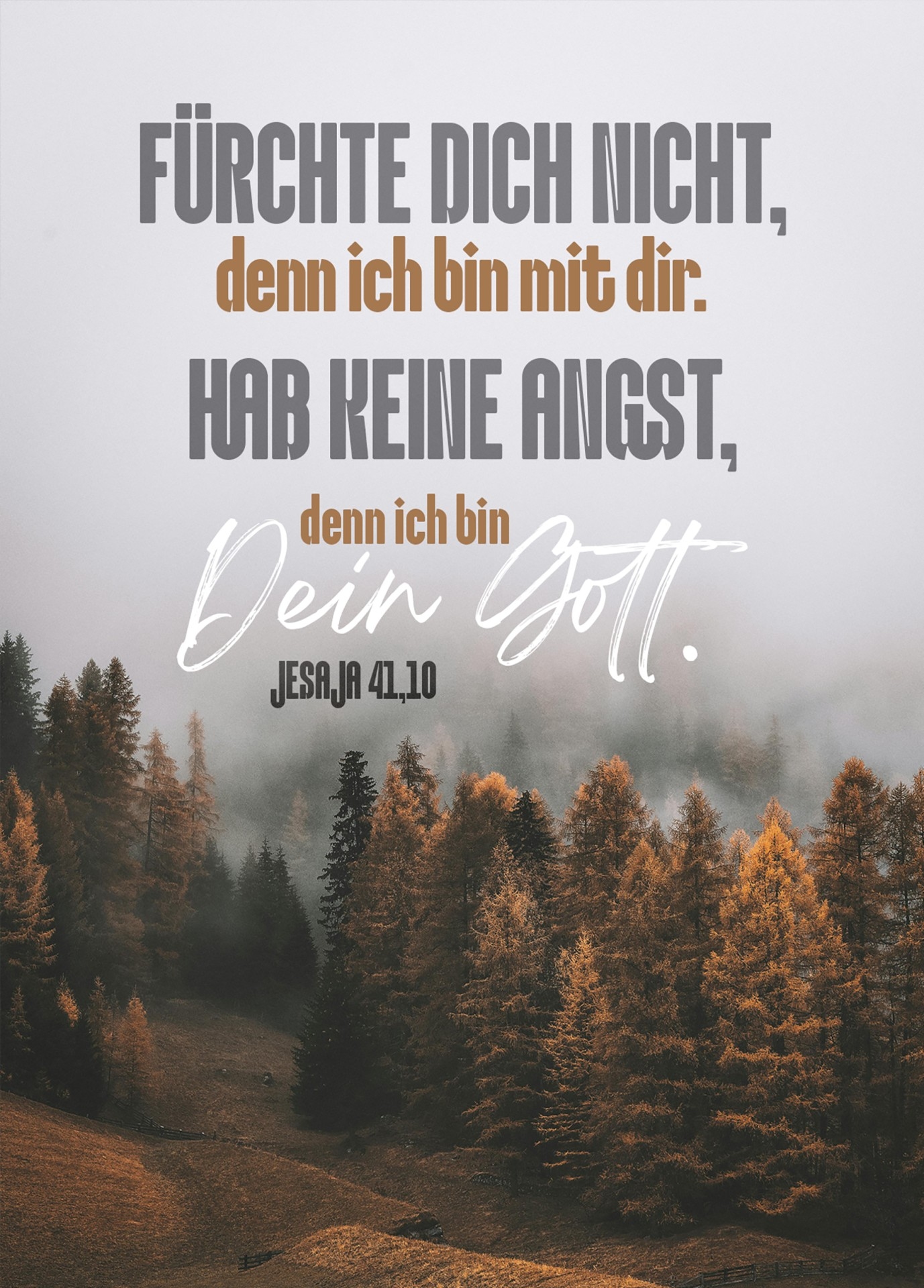 Jahreslosung 2027 - Postkarte "Wald im Nebel"
