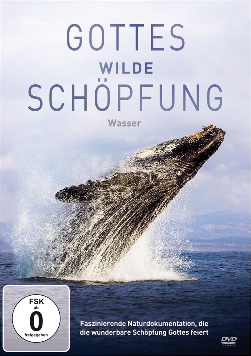 Gottes wilde Schöpfung: Wasser