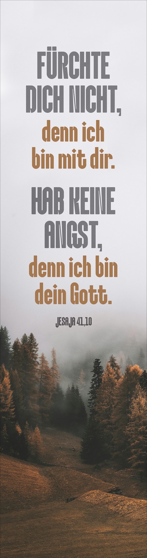 Jahreslosung 2027 - Lesezeichen "Wald mit Nebel"
