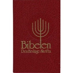 Bibel norwegisch