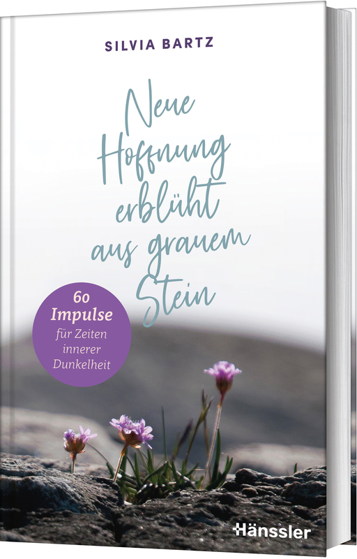 Neue Hoffnung erblüht aus grauem Stein