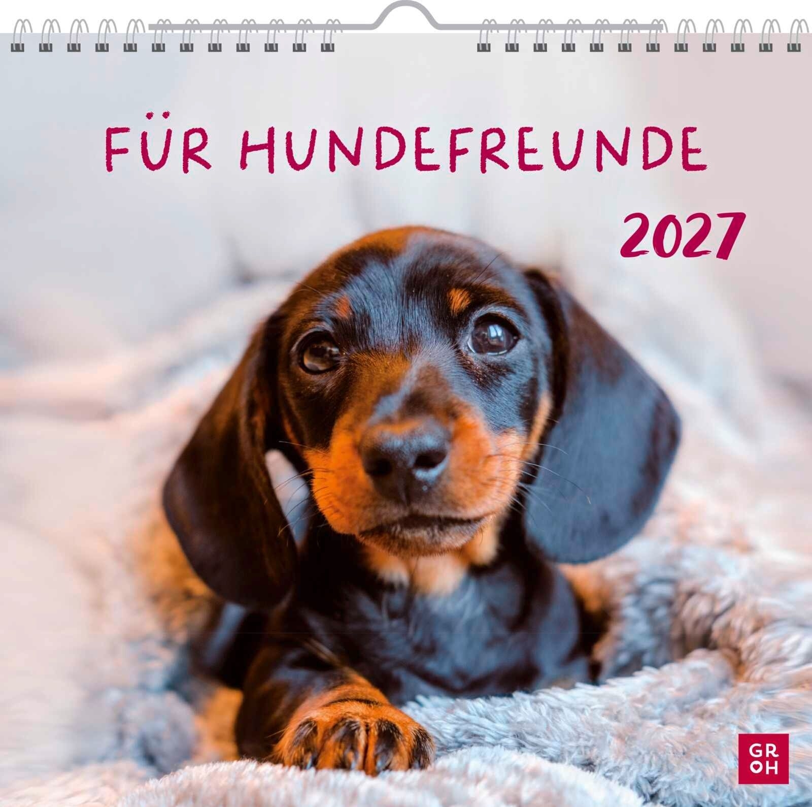 Für Hundefreunde 2027 - Wandkalender
